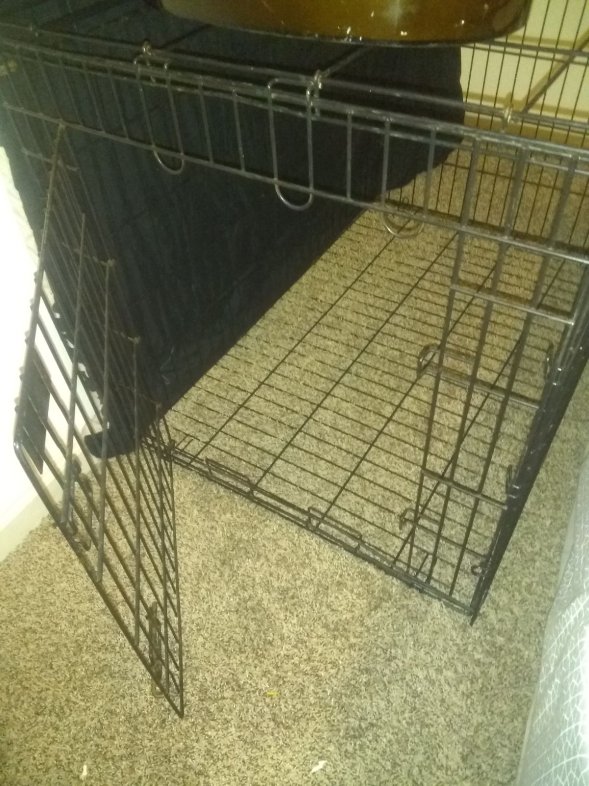 dog kennel