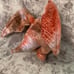 Furbodactyl: one of a kind Furby