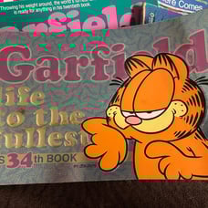 Set of 7 Garfield comic strip books
