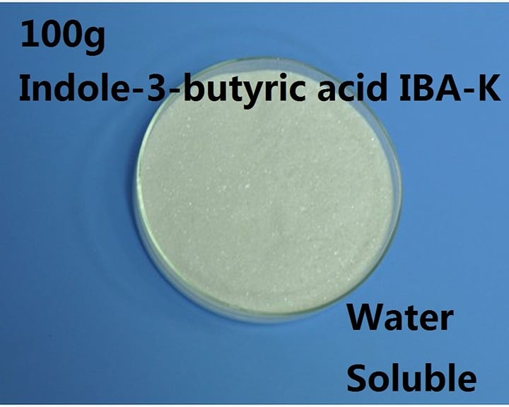 100g Indole Butyric Acid Water soluble IBA-K 99% CAS:60096-23-3