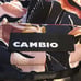 NWT Cambio black and mauve pink floral Capri pants