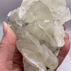 Shell Calcite Specimen