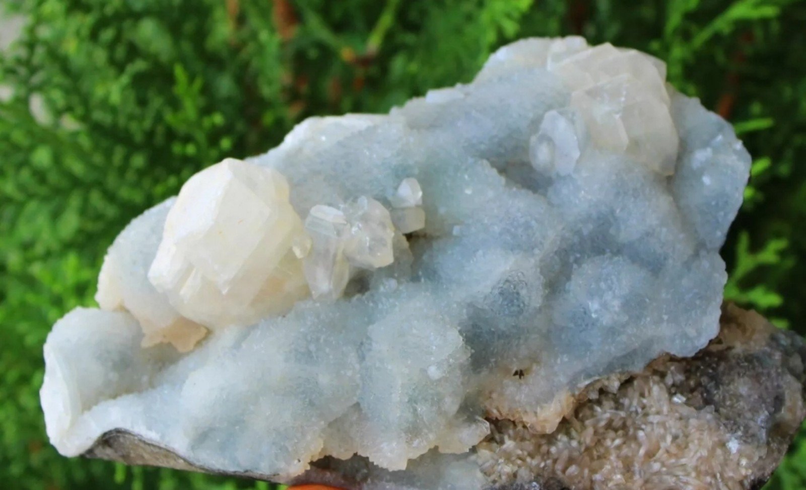 Apophyllite Crystals on Light Blue Matrix Minerals Specimen Gemstone Cluster