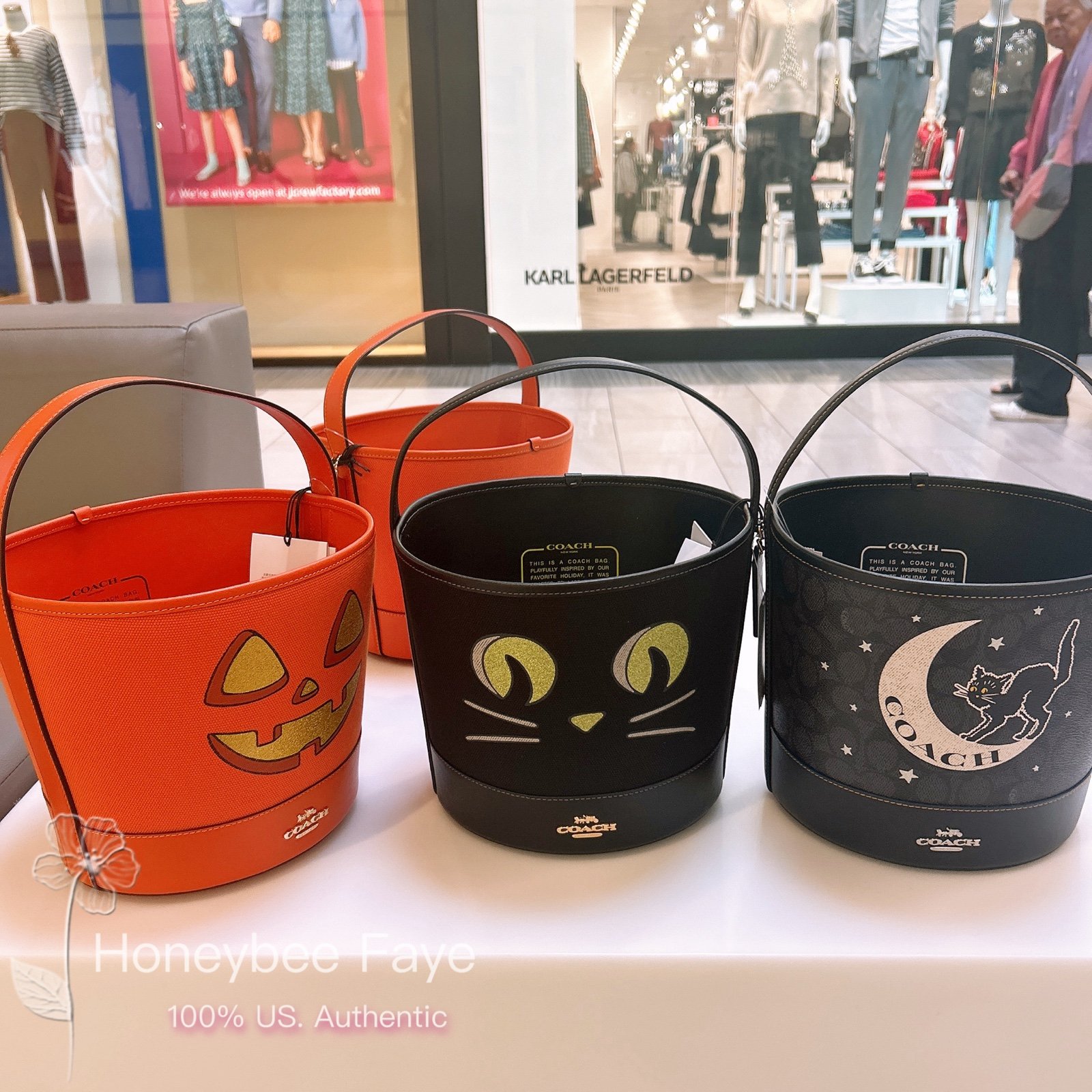 Coach Trick Or Treat Bucket pumpkin 2024 new