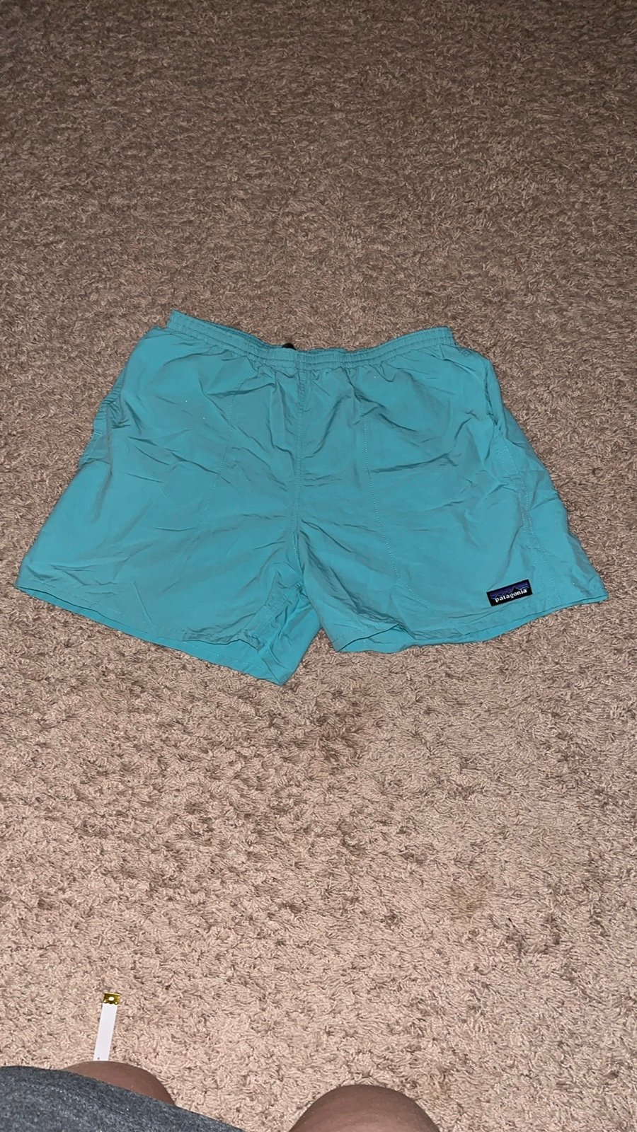 Light blue/teal Patagonia Shorts 5in inseam