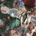 Turquoise long statement southwestern sterling silver ring