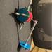 Med to Large Bird Foraging Toy