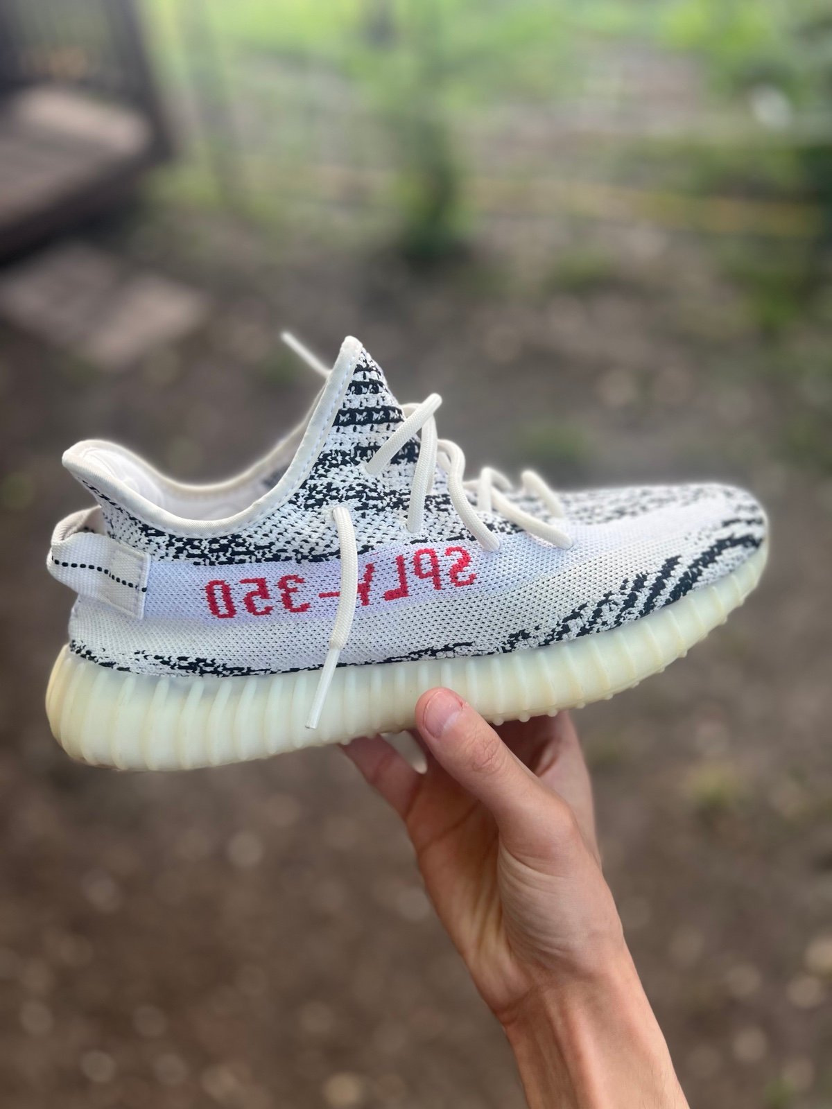 Yeezy Zebra Boost 350 V2