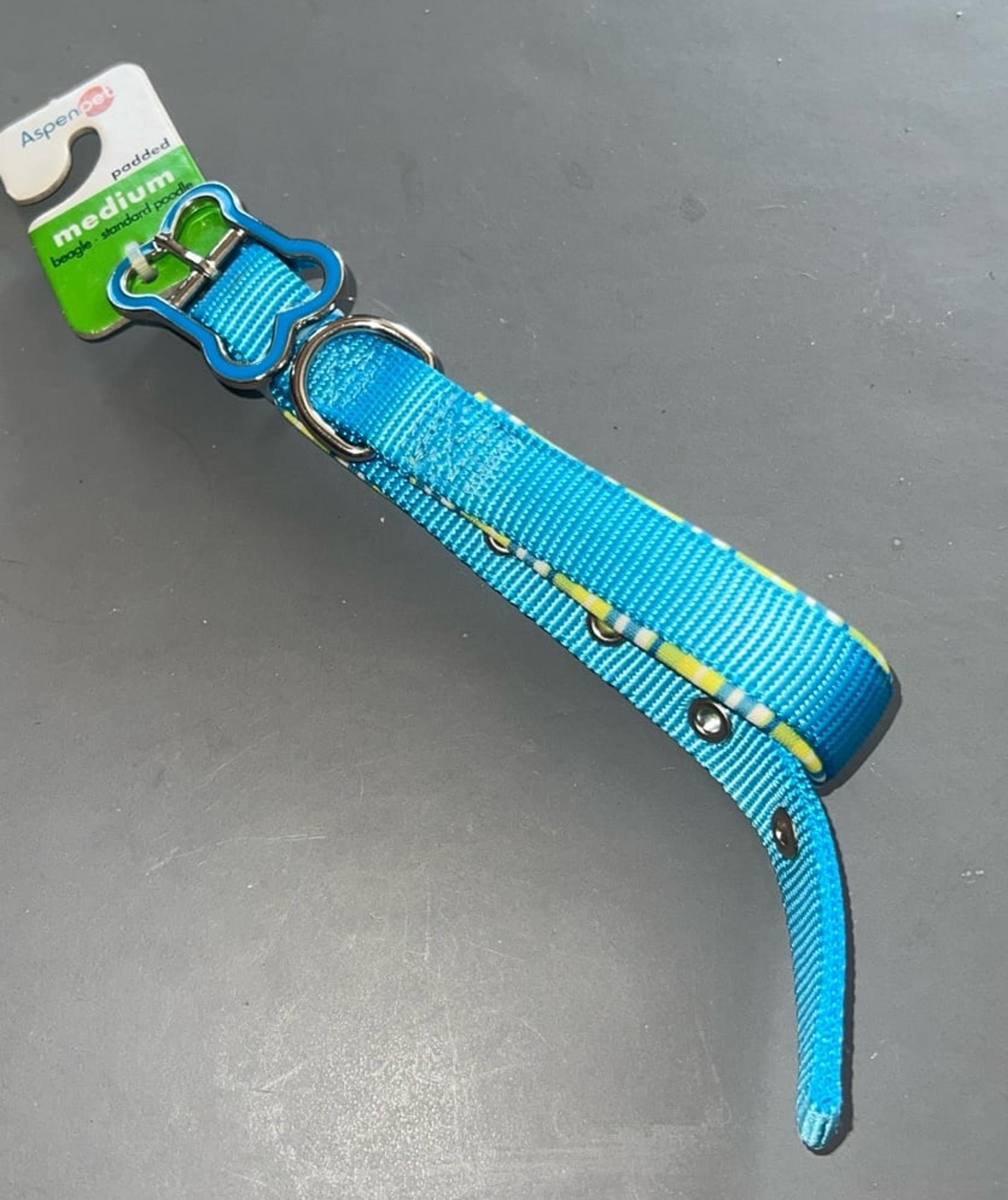 Medium Aspen Pet Dog Collar