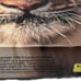 GeoSafari Animals Platinum Edition Big Box (CD-Rom, 1996) Educational Insights.