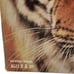 GeoSafari Animals Platinum Edition Big Box (CD-Rom, 1996) Educational Insights.