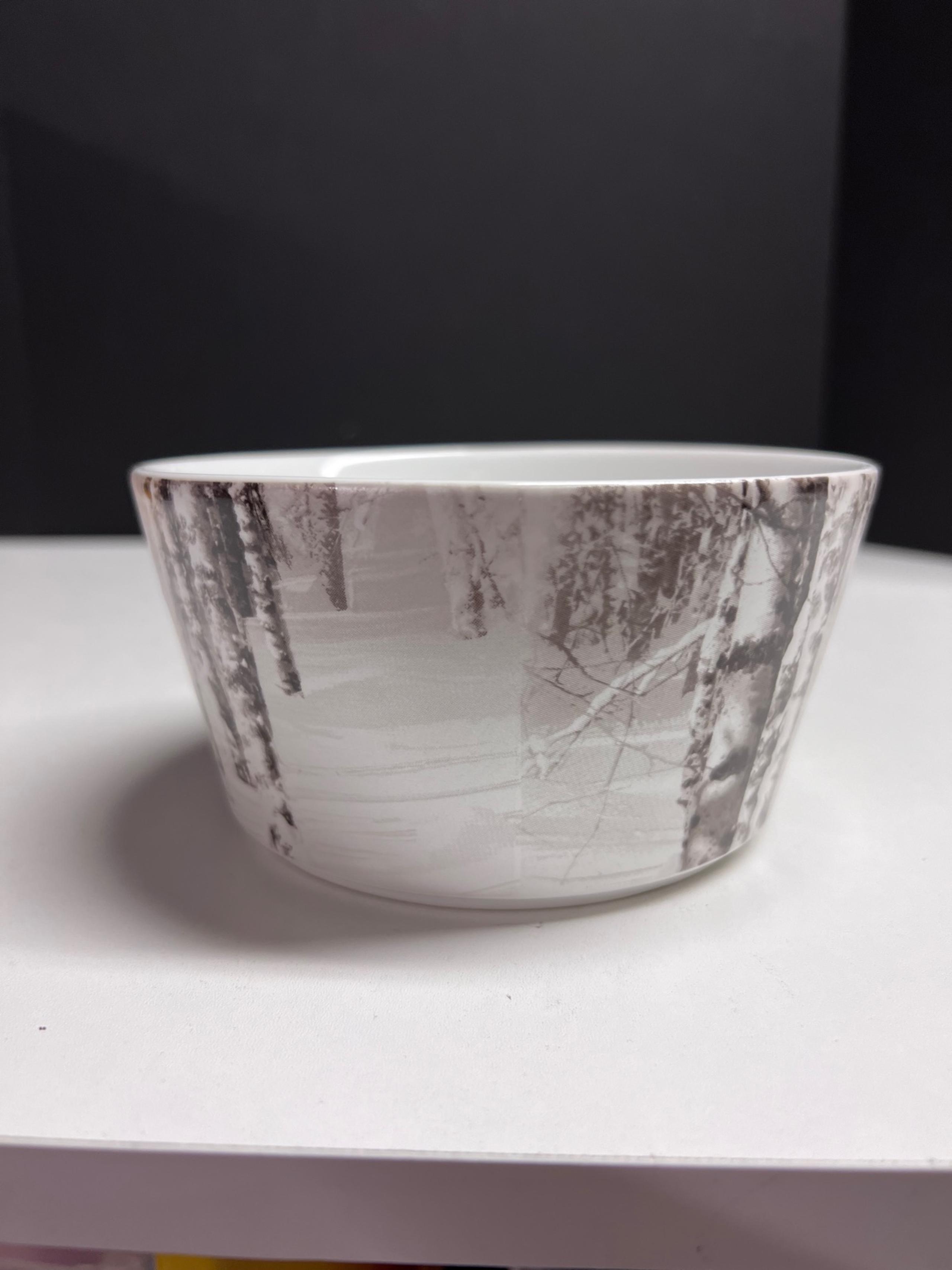 Pier 1 imports porcelain bowl Snow Forest