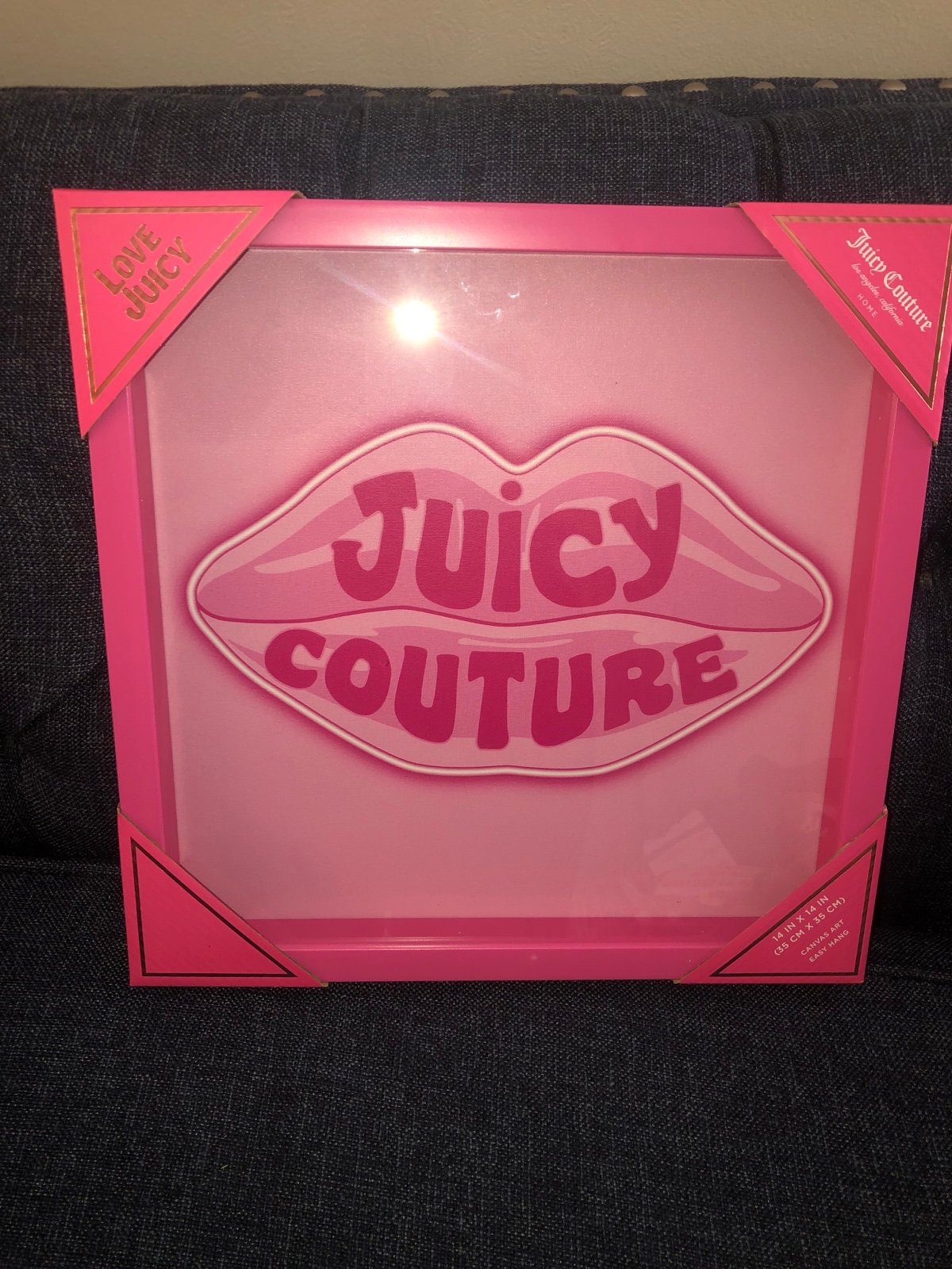 ❌ FREE SHIP ❌ juicy couture pink framed lip wall decor / wall art