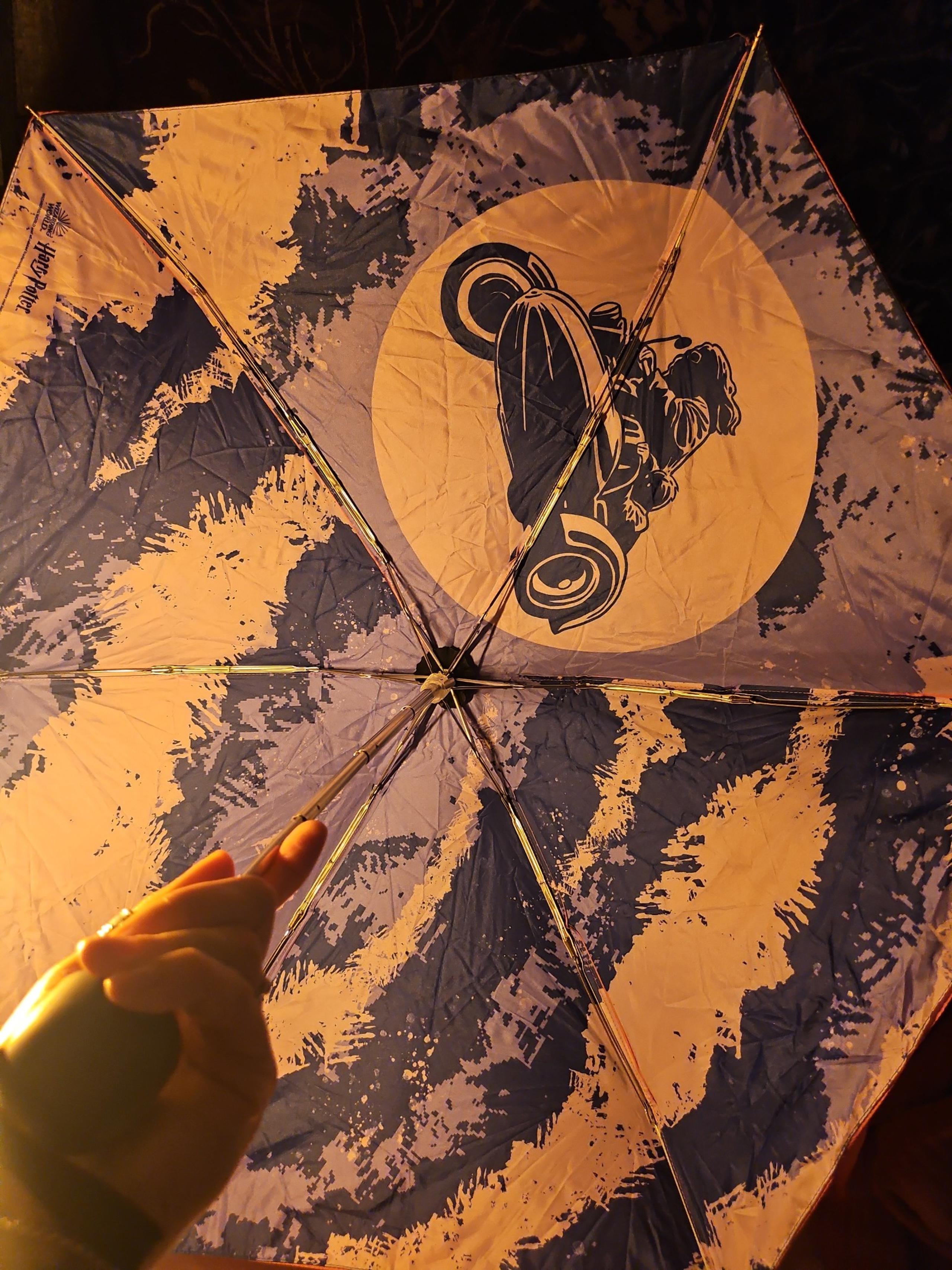 Harry Potter Hagrid Lootcrate Umbrella