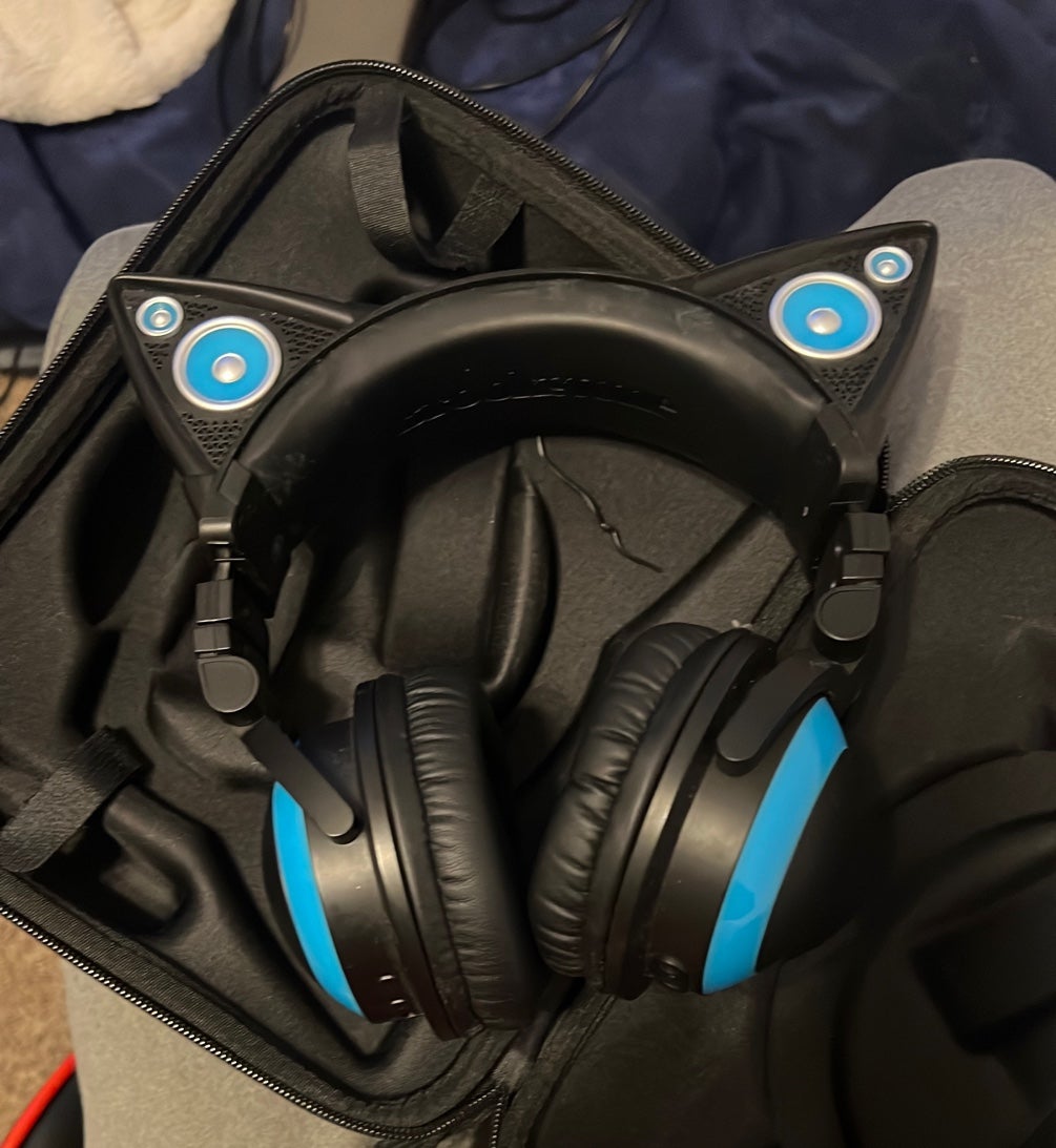 Brookstone cat ear headphones