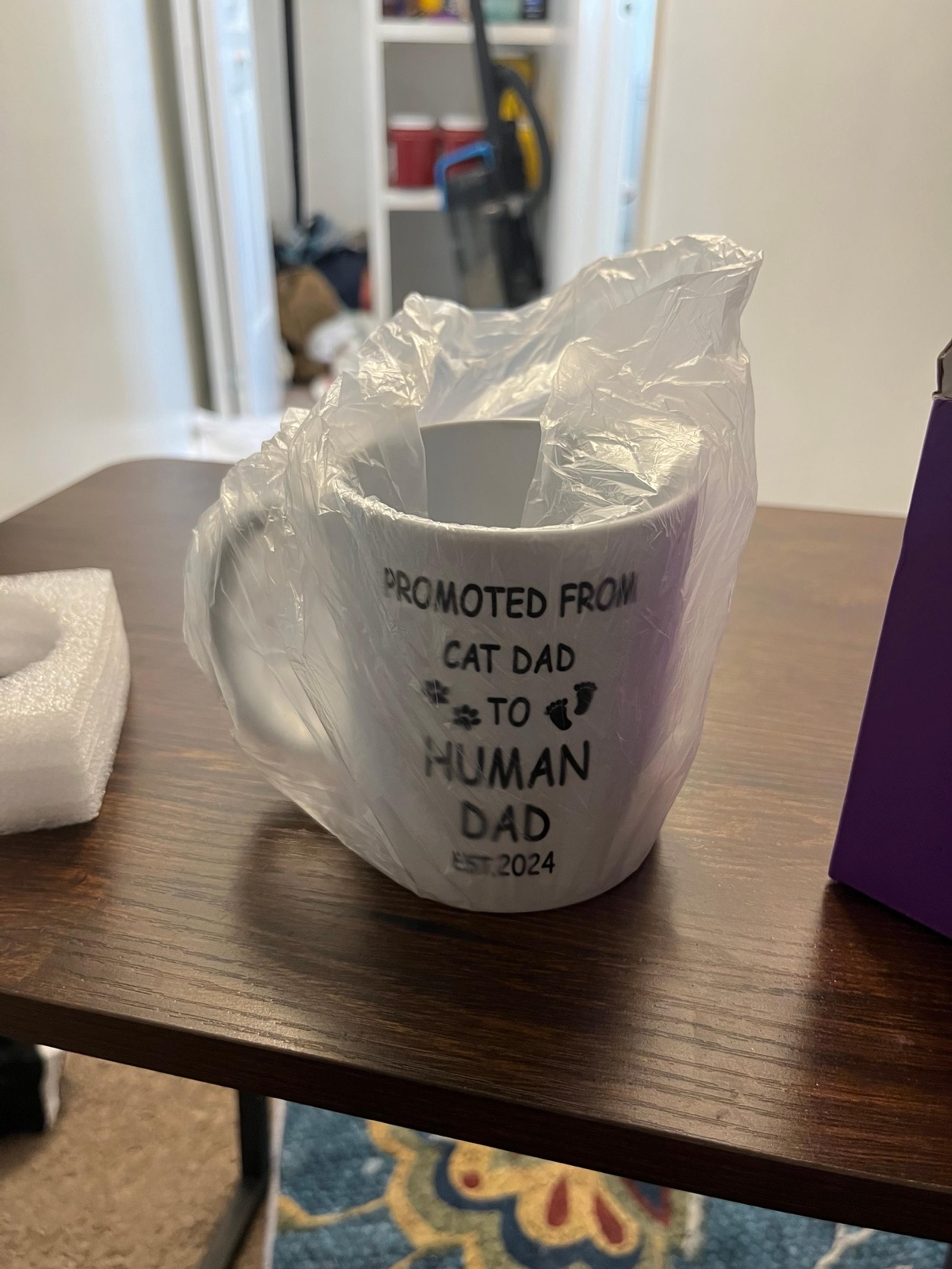 Dad Mug New Parent Gift Promoted from Cat Dad to Human Daddy Coffee Cup