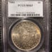 1884 Morgan Silver Dollar