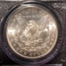 1884 Morgan Silver Dollar
