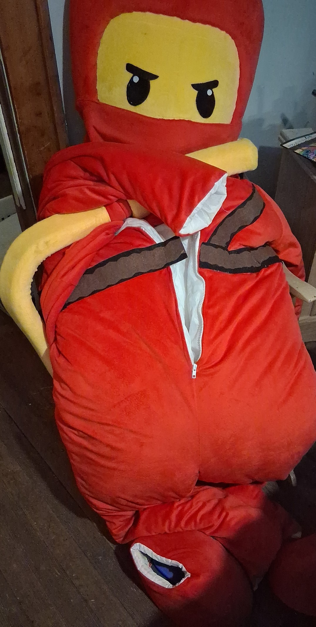 Costume ninjago