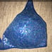 Vintage Express Festival Bra Top