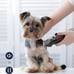PETLIBRO Dog Clippers, LCD Display Dog Hair Grooming Clippers Kit 10Pcs
