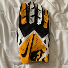 Nike Vapor Fly Football Gloves