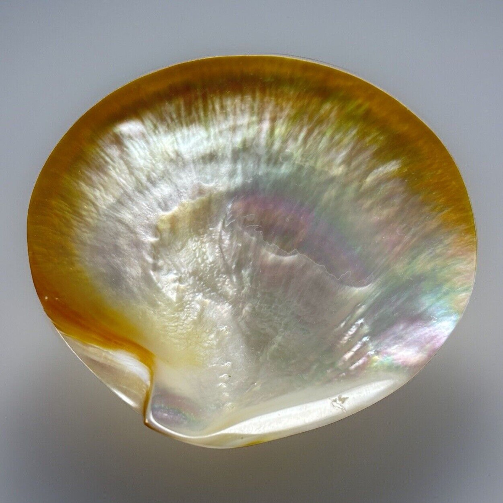 Vtg Mother of Pearl Shell Cavier Serving Dish Trinket Footed MCM Iridescent
