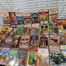 Huge lot of Charlotte Macleod Books