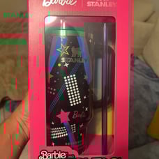 Barbie and the Rockers Stanley 40 oz Tumbler
