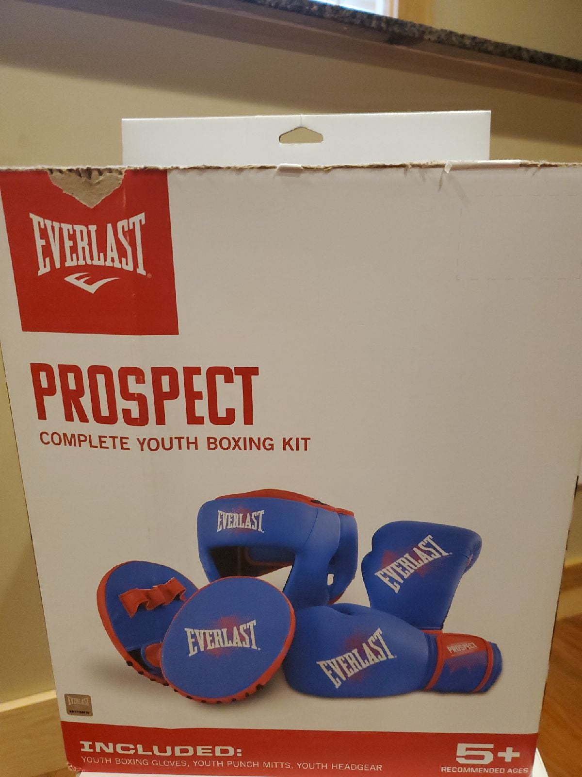 Everlast youth boxing kit