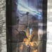 Mass Effect 2 Collector's Edition Strategy Guide
