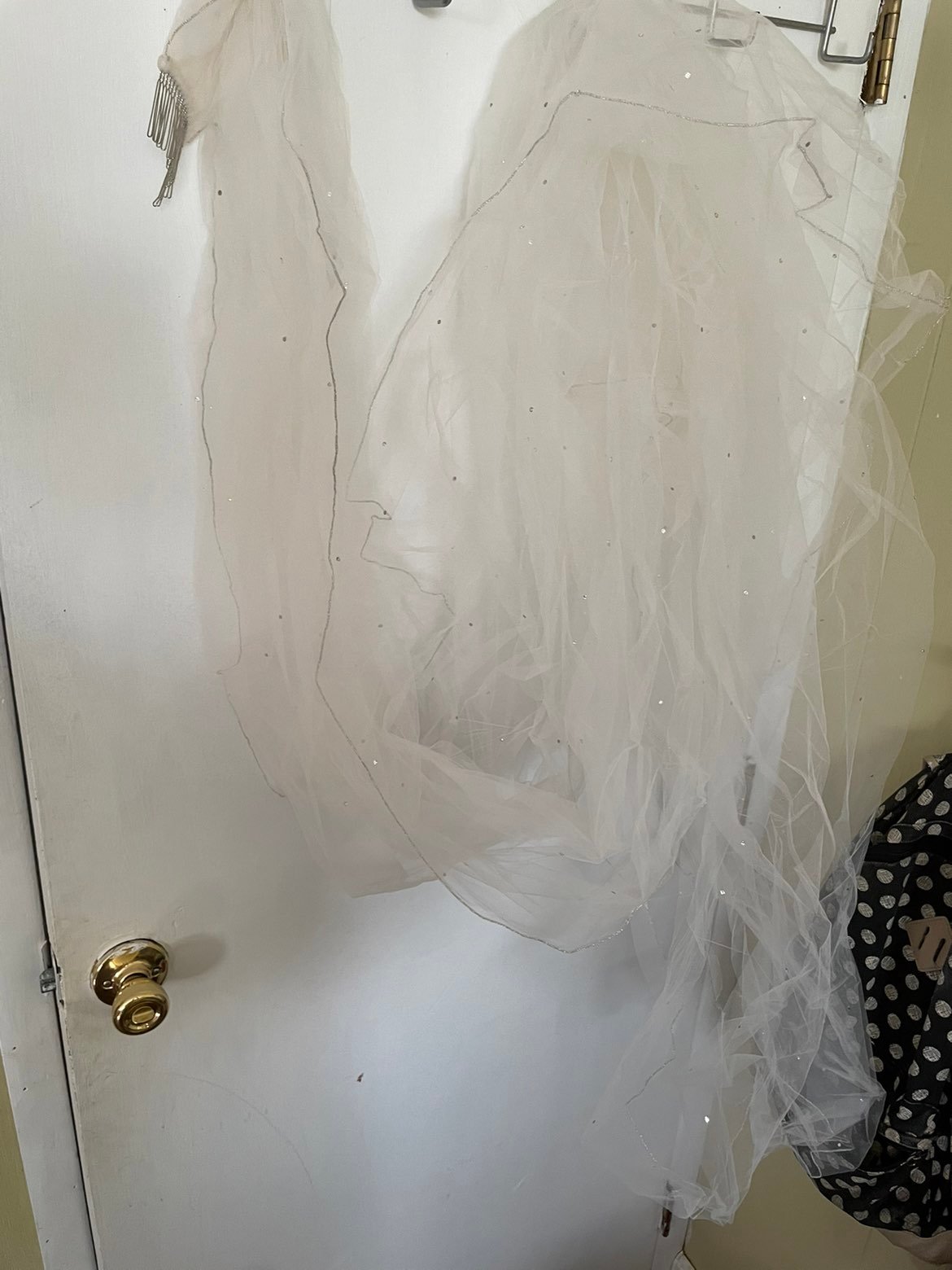 wedding veil and Dress