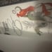 *free shipping** Signed! Grishaverse Owlcrate Shadow and Bone set