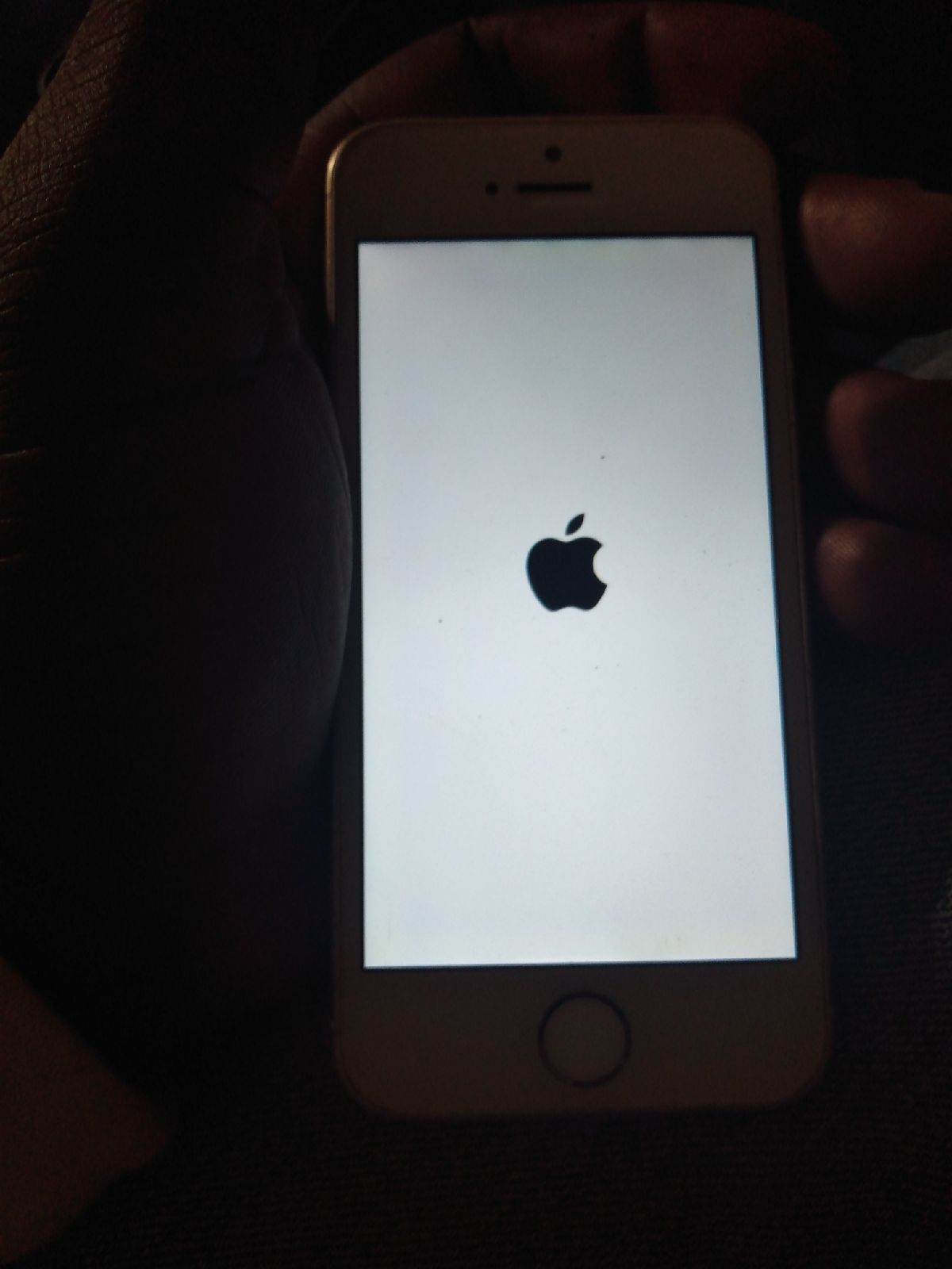 iPhone 5 White & Silver 32 GB Unlocked