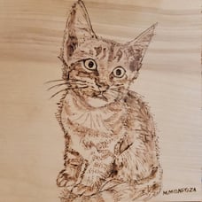 Wood burning art