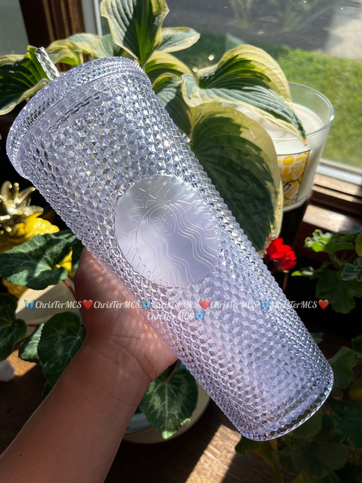 STARBUCKS STUDDED CLEAR TRANSPARENT TRANSLUCENT TAIWAN EXCLUSIVE BRANDNEW