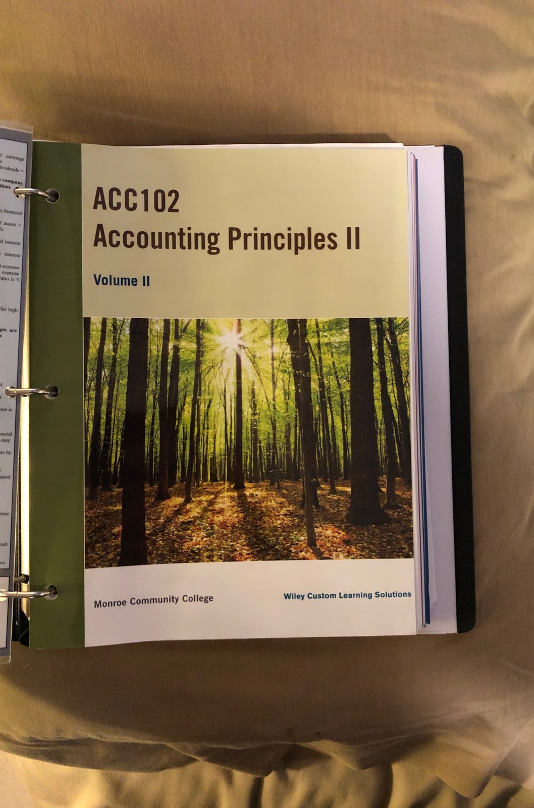 Accounting principles II
