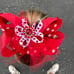 Dance costume