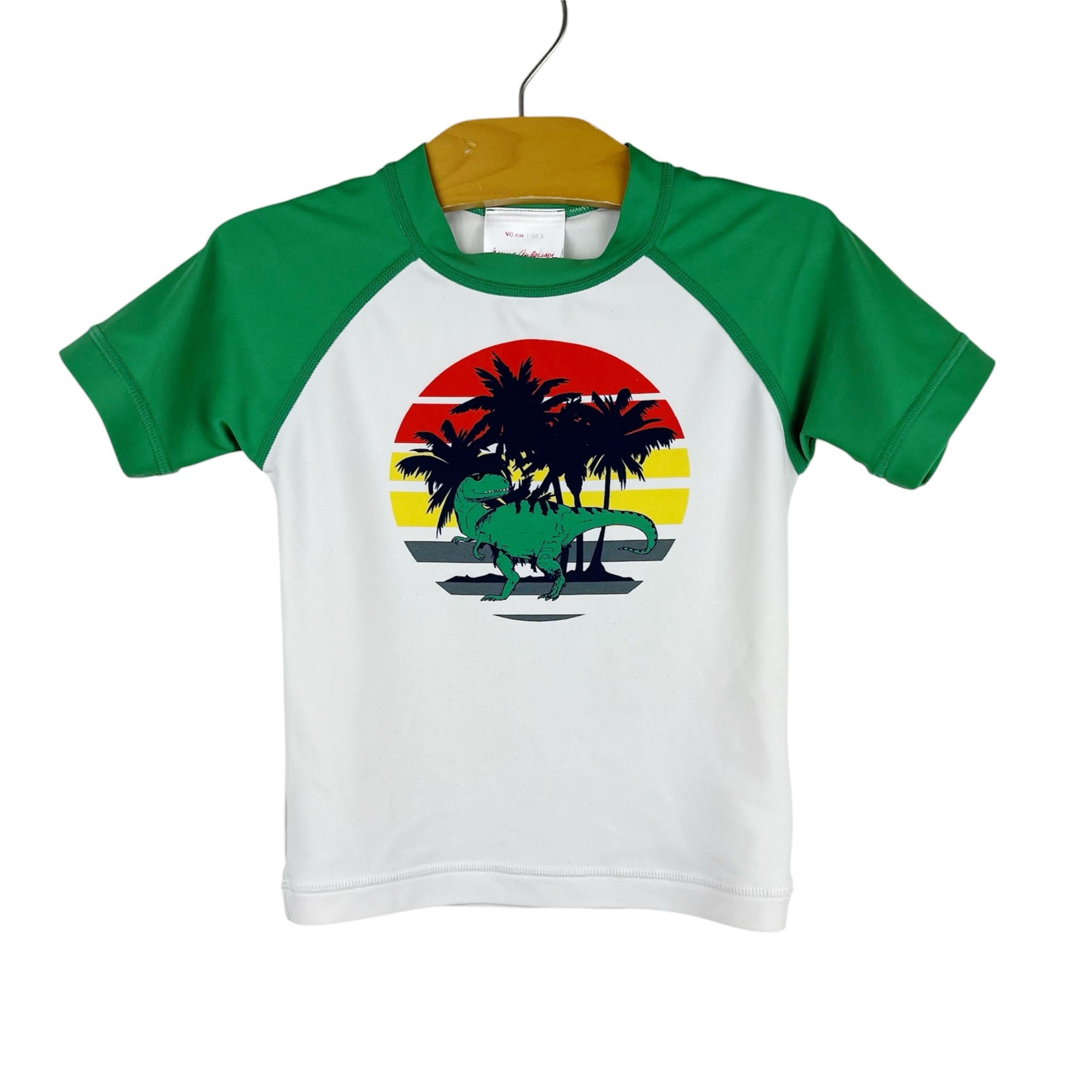 Hanna Andersson Dinosaur Rash Guard Top