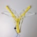 Lemon Daisy Panty
