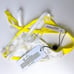 Lemon Daisy Panty