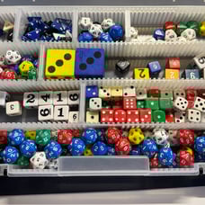 Dice Assortment Case