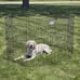 NEW! 42 x192 XL Super Wide Pet/Dog/Puppy/Baby Gate Fence Play Yard Exercise Pen