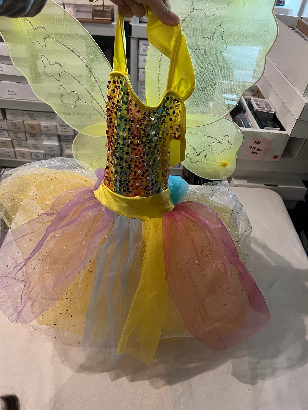 Little girls butterfly costume