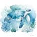 Serene Sea Turtle Canvas Print - Oceanic Art for Home Décor 20*20