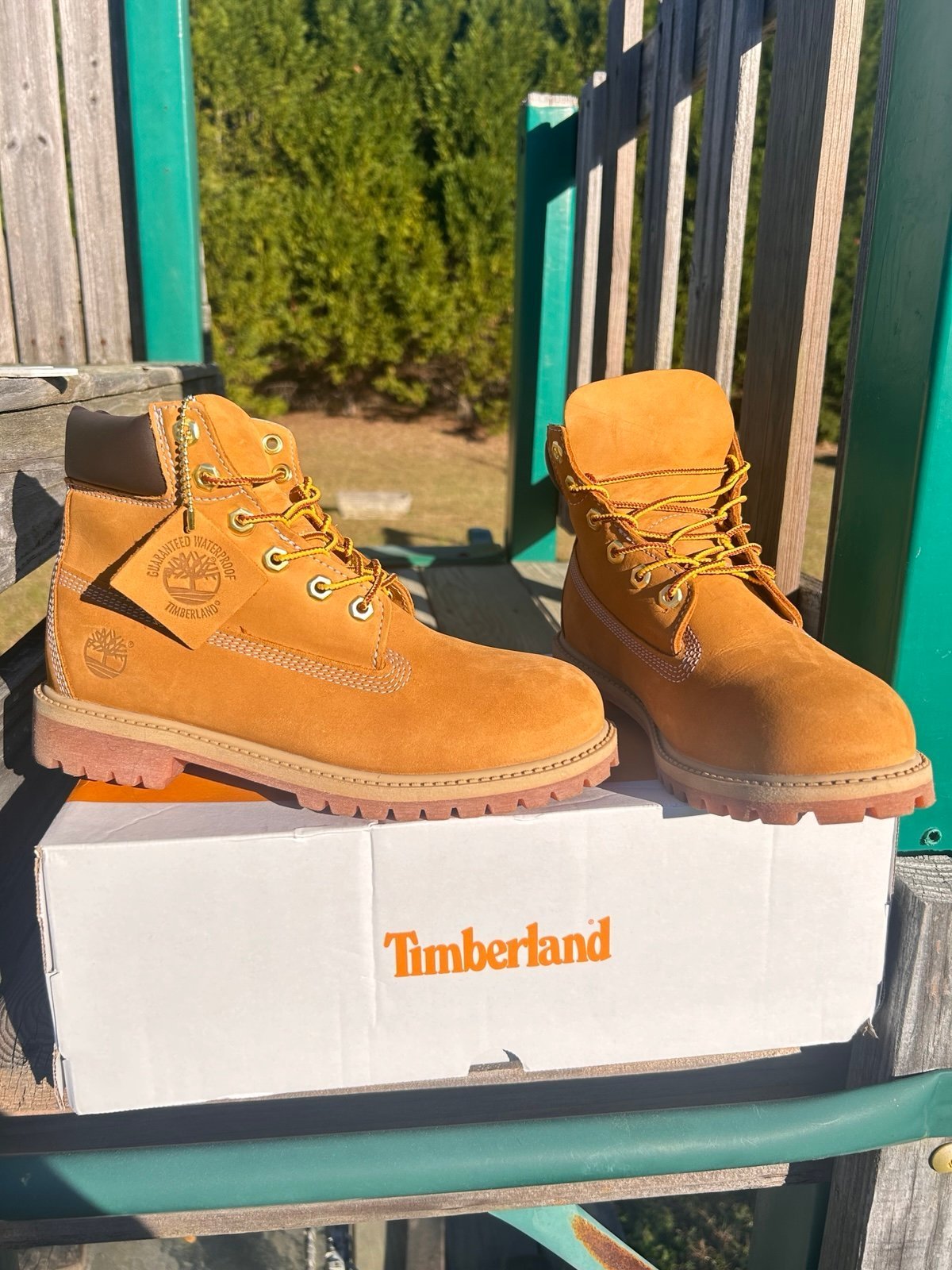 Timberland Men's Premium 6-Inch Waterproof Boot (6M)