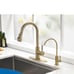 Drinking Water Kitchen Faucet Brushed Gold,Lead-Free 304 Stainless Steel Sink Fi