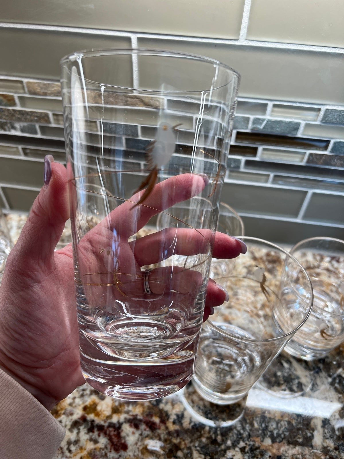 Set of 7 Culver Bird Glasses