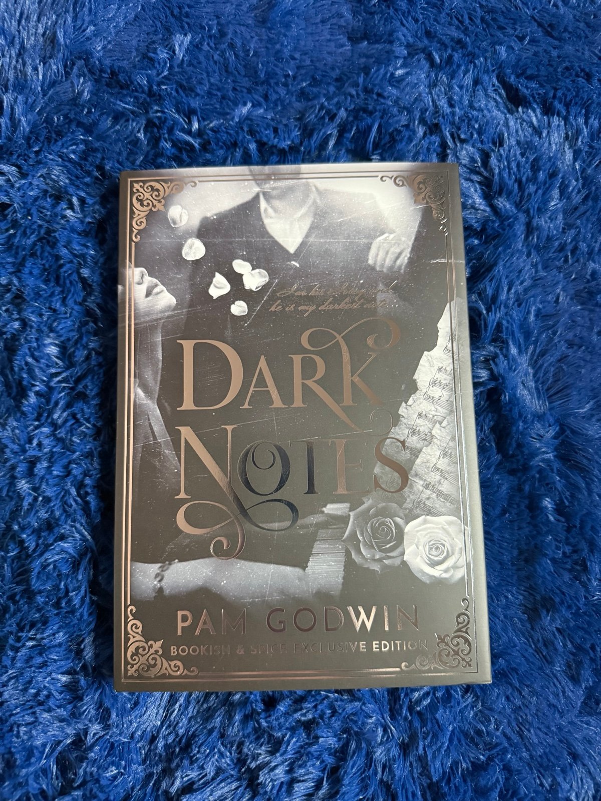 Bookish and spice dark notes Pam Godwin