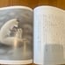 9 Japanese Picture Books for 4-6 year-old children